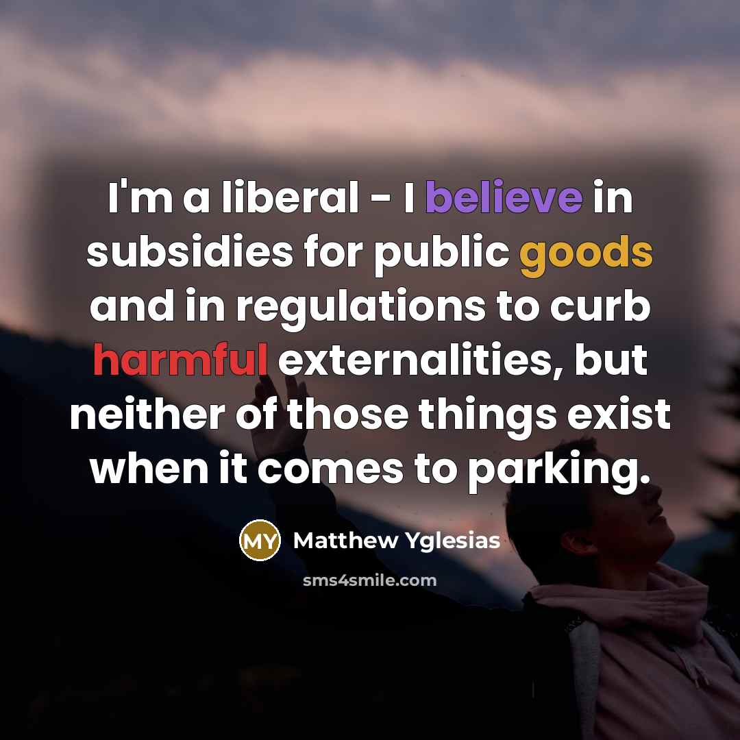 “I'm a liberal - I believe in subsidies for public…” quote by Matthew Yglesias