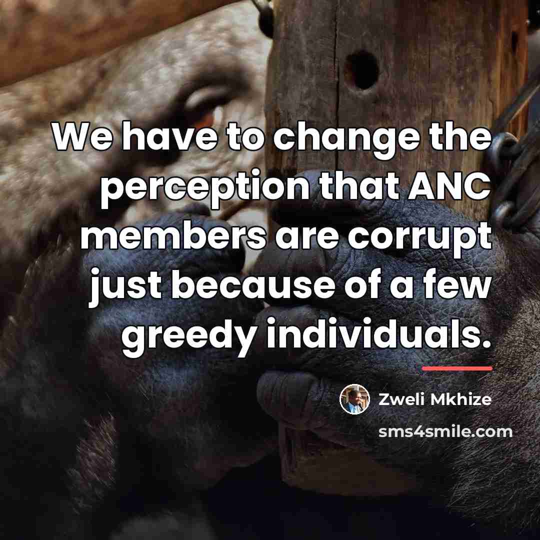 “We have to change the perception that ANC members are…” quote by Zweli Mkhize