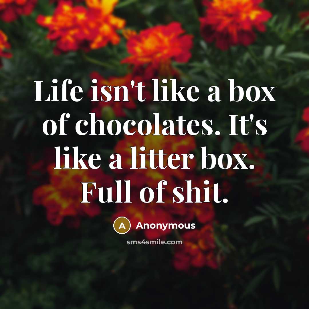 “Life isn't like a box of chocolates. It's like a…” quote by Anonymous