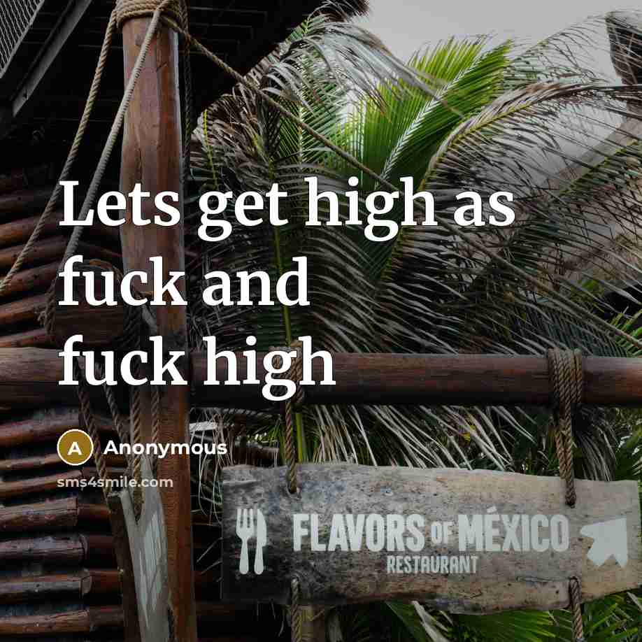 “Lets get high as fuck and fuck high” quote by Anonymous