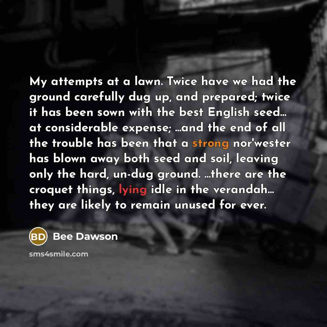 “My attempts at a lawn. Twice have we had the…” quote by Bee Dawson