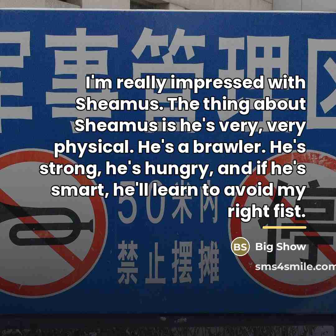 “I'm really impressed with Sheamus. The thing about Sheamus is…” quote by Big Show