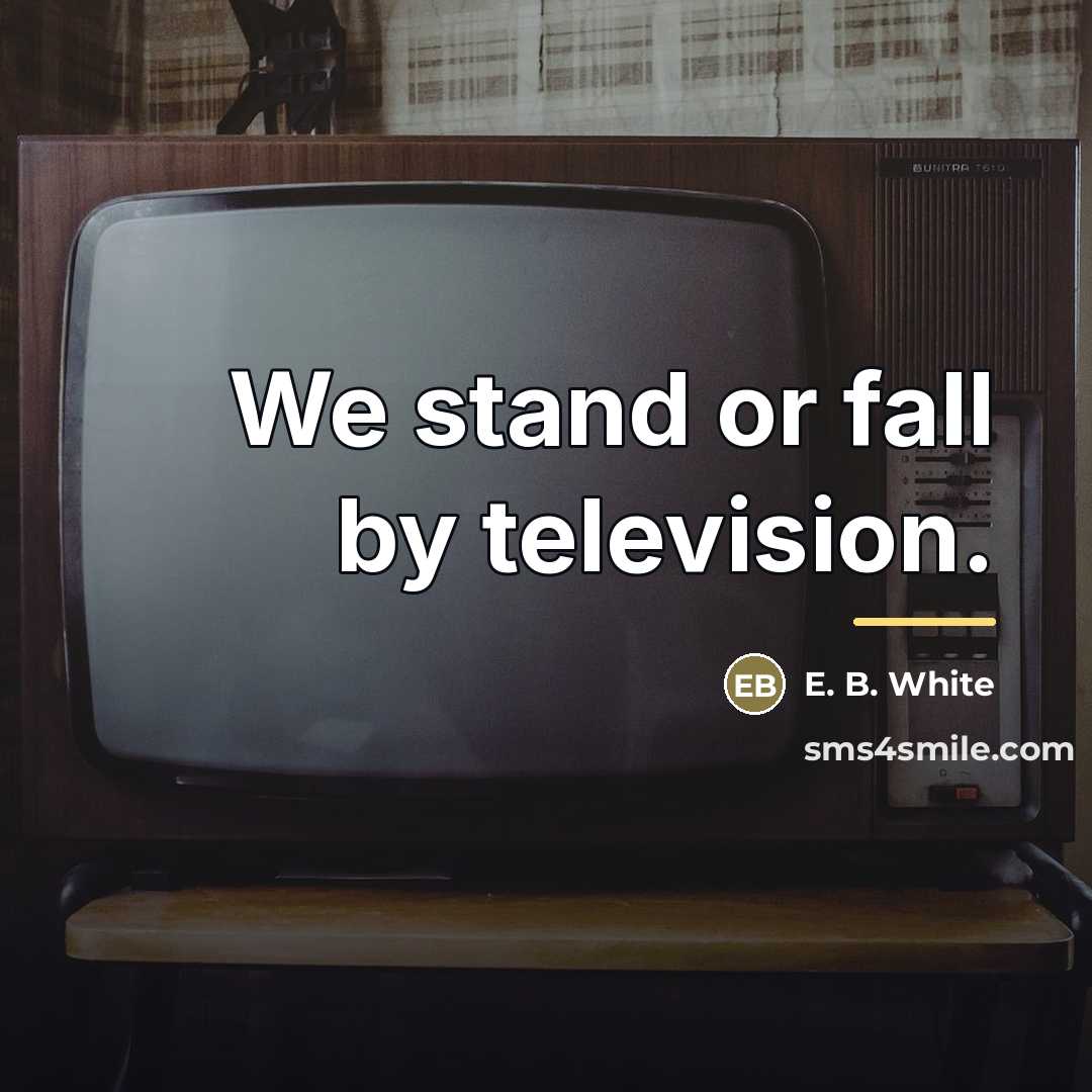 “We stand or fall by television.…” quote by E. B. White