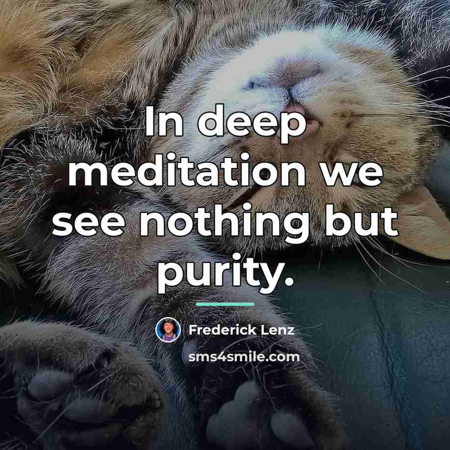 “In deep meditation we see nothing but purity.…” quote by Frederick Lenz