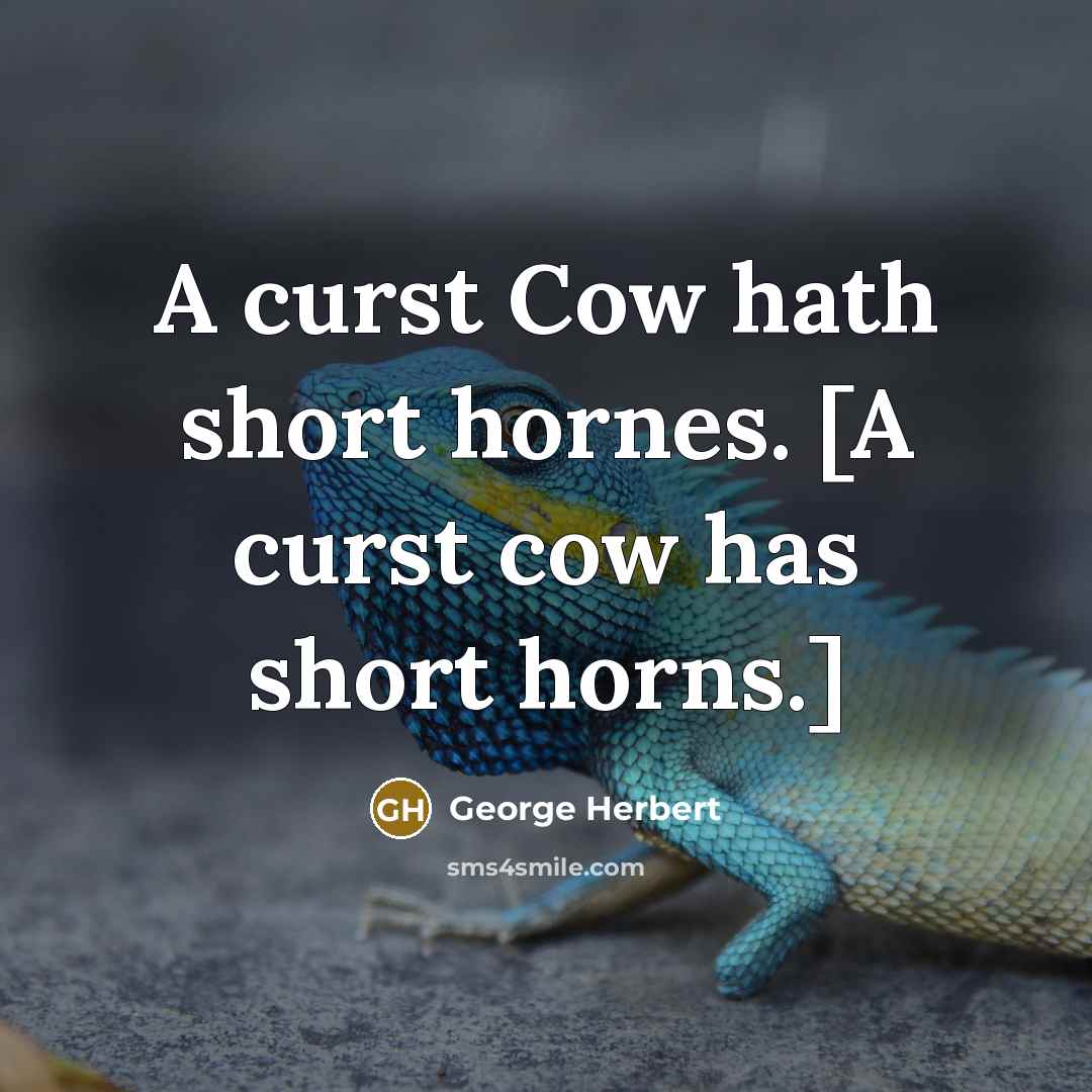 “A curst Cow hath short hornes. [A curst cow has short horns.]” quote by George Herbert