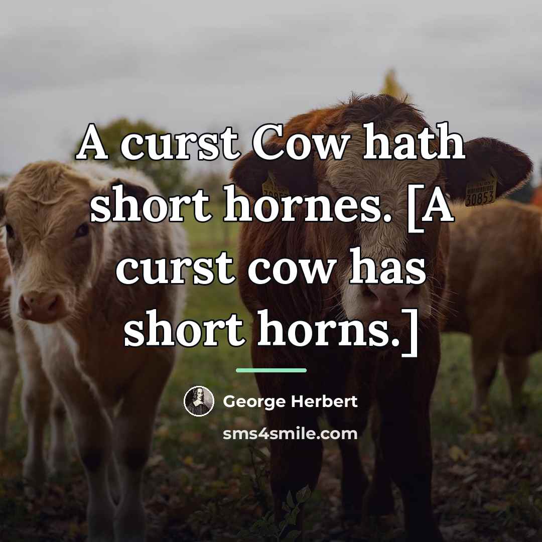 “A curst Cow hath short hornes. [A curst cow has…” quote by George Herbert