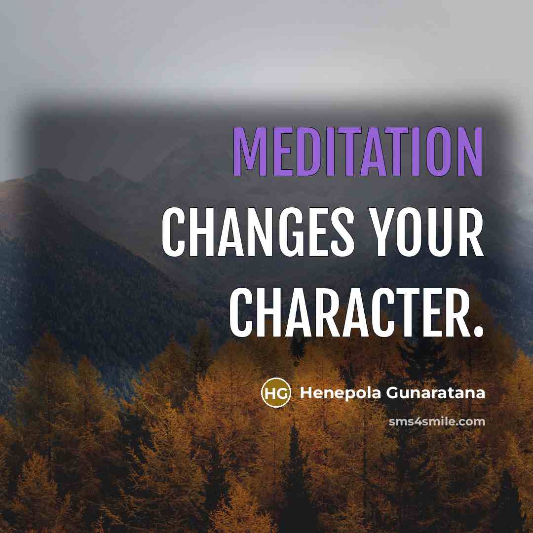 “Meditation changes your character.” quote by Henepola Gunaratana