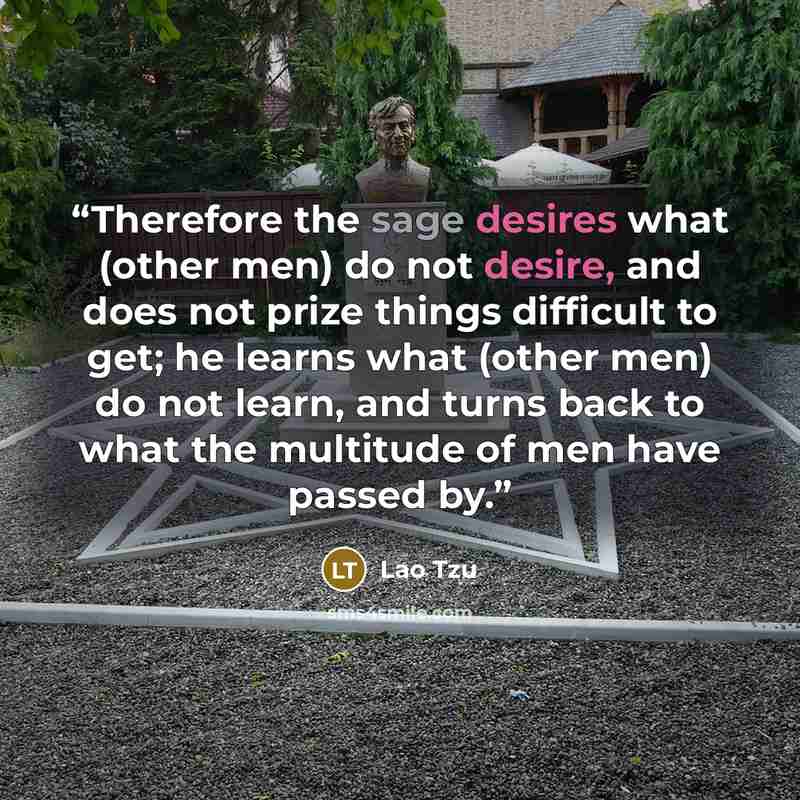 “Therefore the sage desires what (other men) do not desire, and does not prize things difficult to get; he learns what (other men) do not learn, and turns back to what the multitude of men have passed by.” quote by Lao Tzu