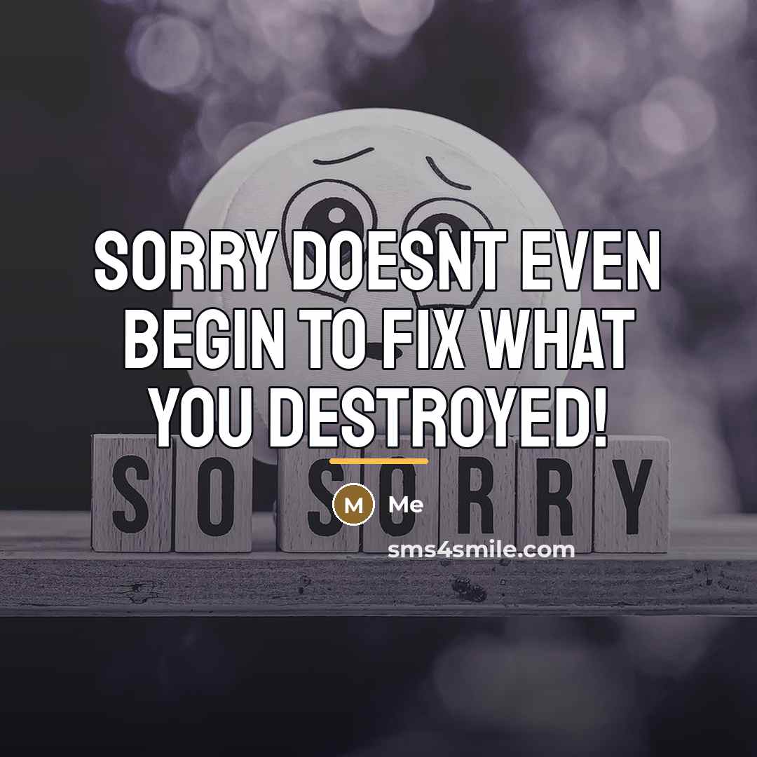 “Sorry doesnt even begin to fix what you destroyed!…” quote by Me