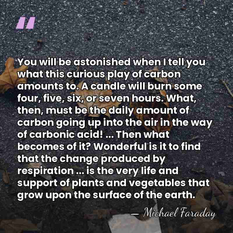 You will be astonished when I tell you what this curious play&hellip; - Michael Faraday