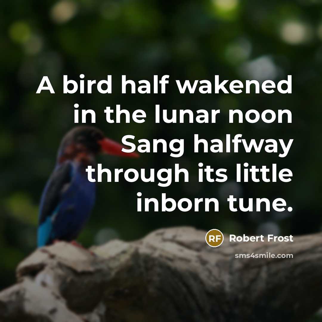 “A bird half wakened in the lunar noon Sang halfway…” quote by Robert Frost