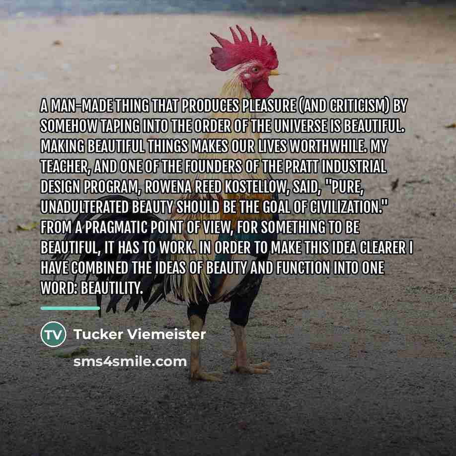 “A man-made thing that produces pleasure (and criticism) by somehow…” quote by Tucker Viemeister