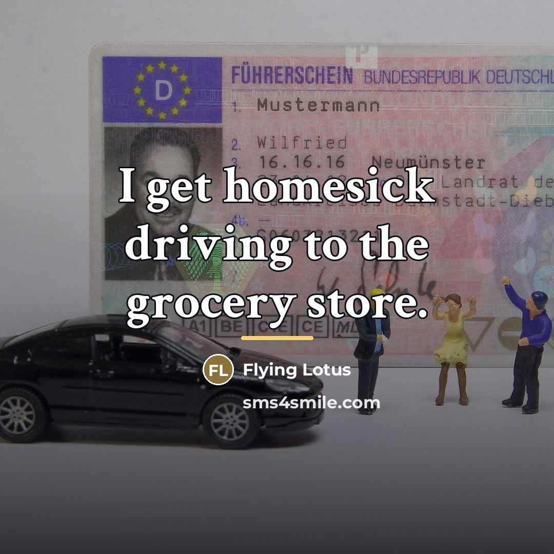 “I get homesick driving to the grocery store.…” quote by Flying Lotus