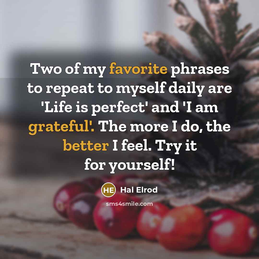 “Two of my favorite phrases to repeat to myself daily…” quote by Hal Elrod