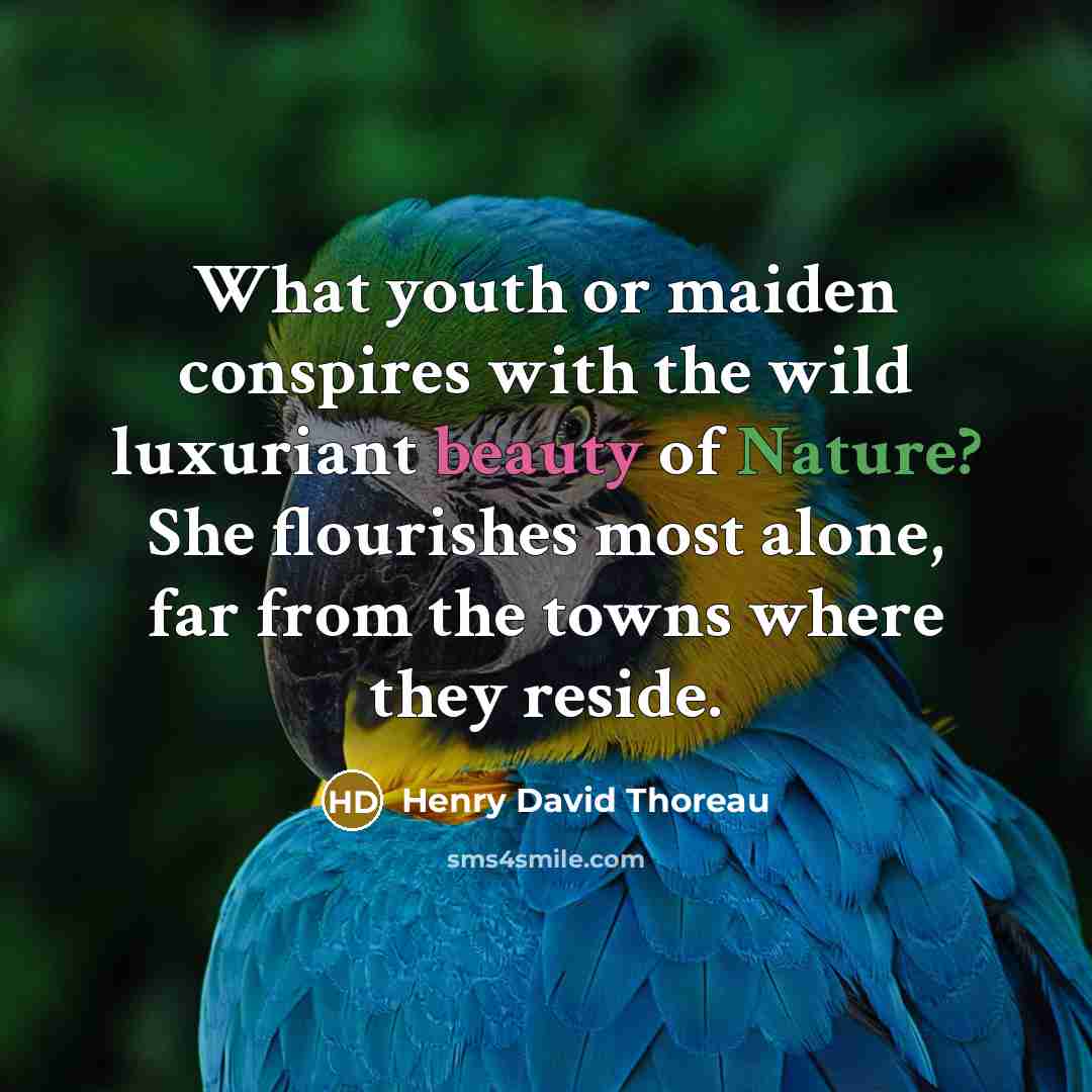 “What youth or maiden conspires with the wild luxuriant beauty…” quote by Henry David Thoreau