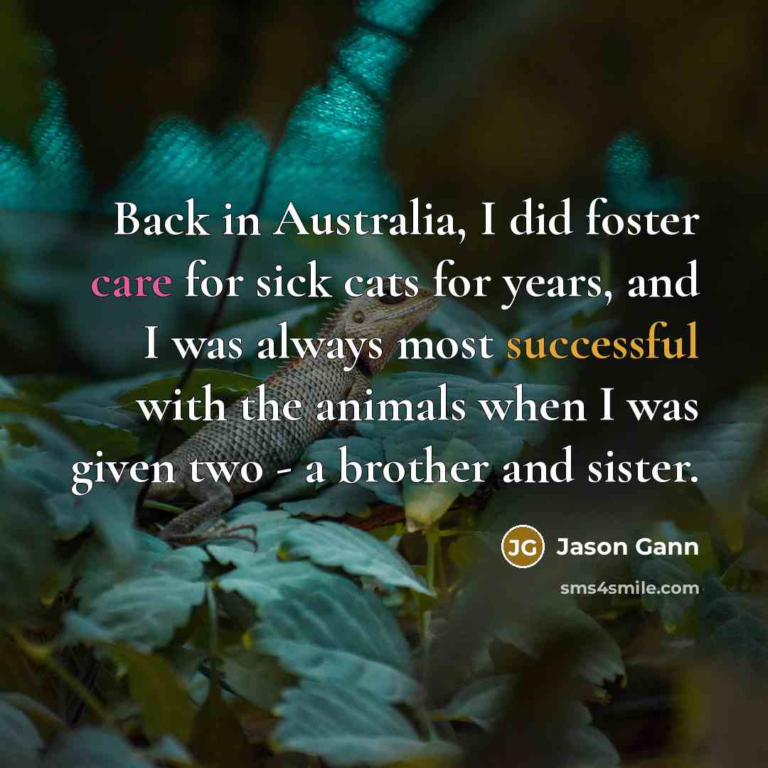 “Back in Australia, I did foster care for sick cats…” quote by Jason Gann