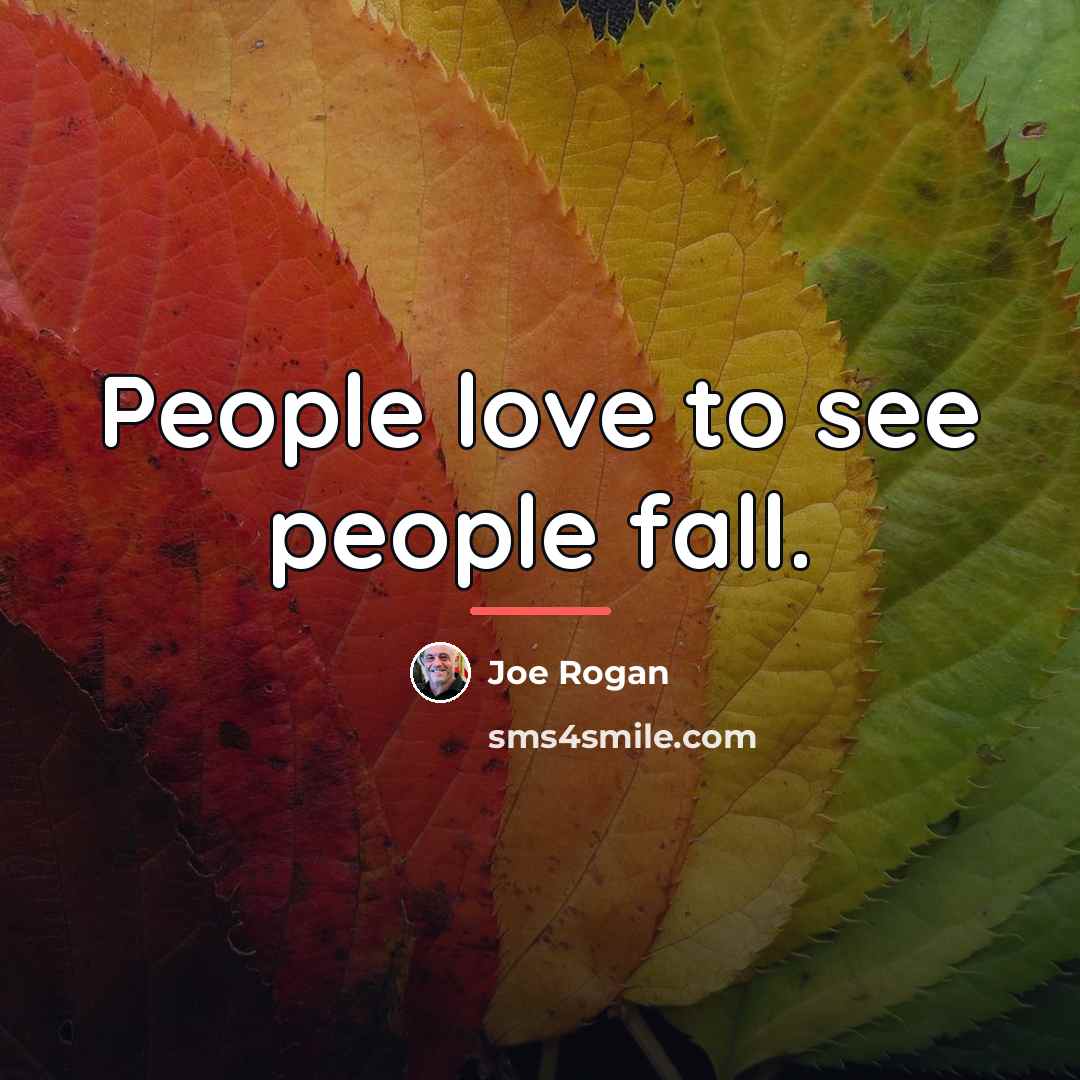 “People love to see people fall.…” quote by Joe Rogan
