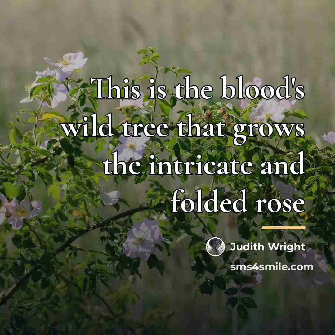“This is the blood's wild tree that grows the intricate…” quote by Judith Wright