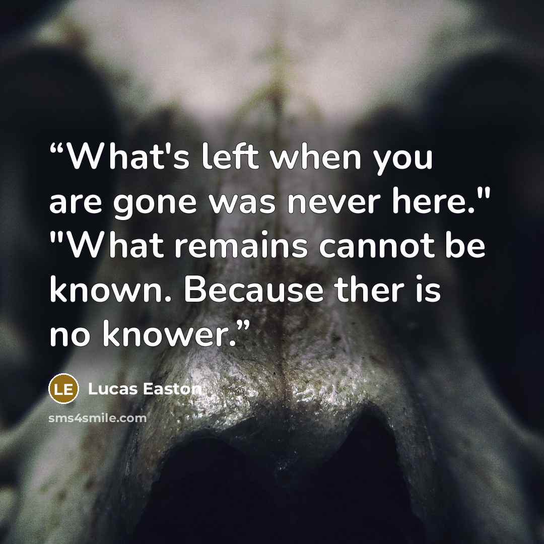 “What's left when you are gone was never here." "What remains cannot be known. Because ther is no knower.” quote by Lucas Easton