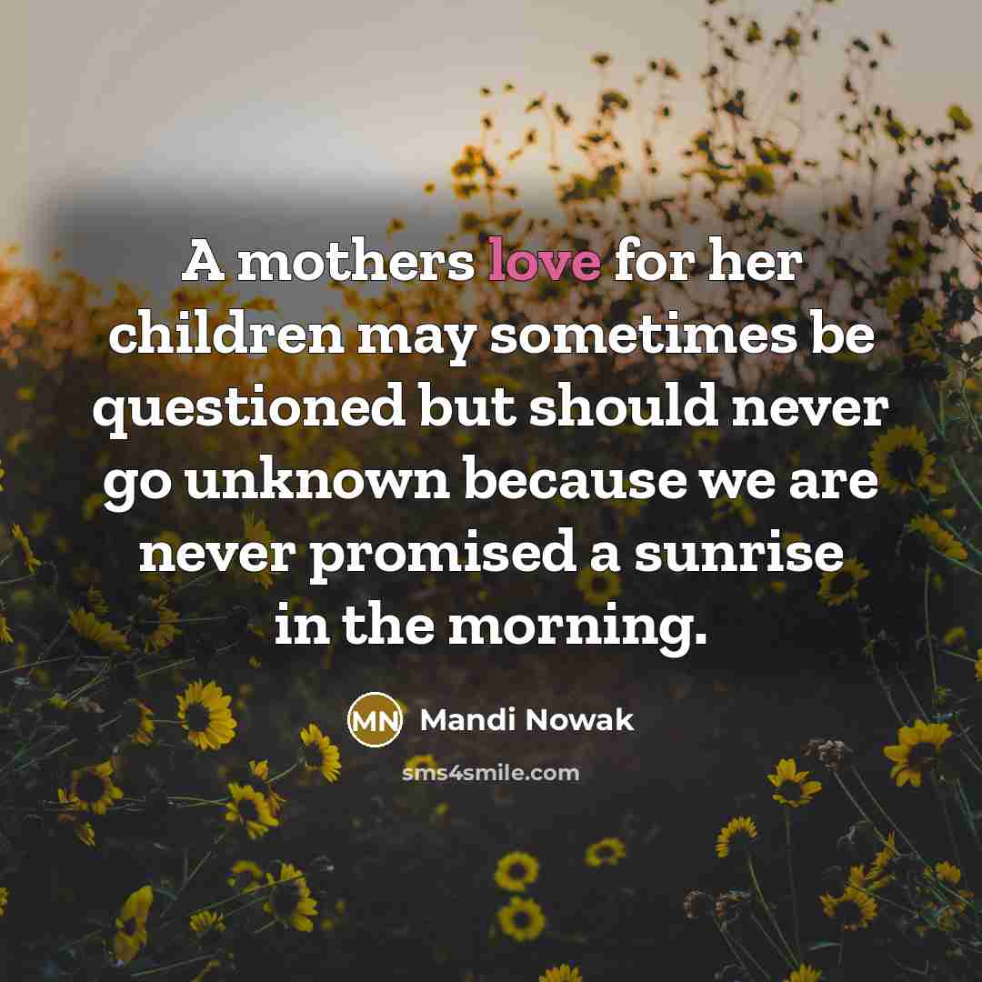 “A mothers love for her children may sometimes be questioned…” quote by Mandi Nowak