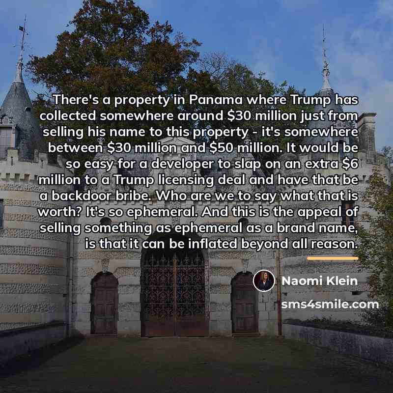 “There's a property in Panama where Trump has collected somewhere…” quote by Naomi Klein