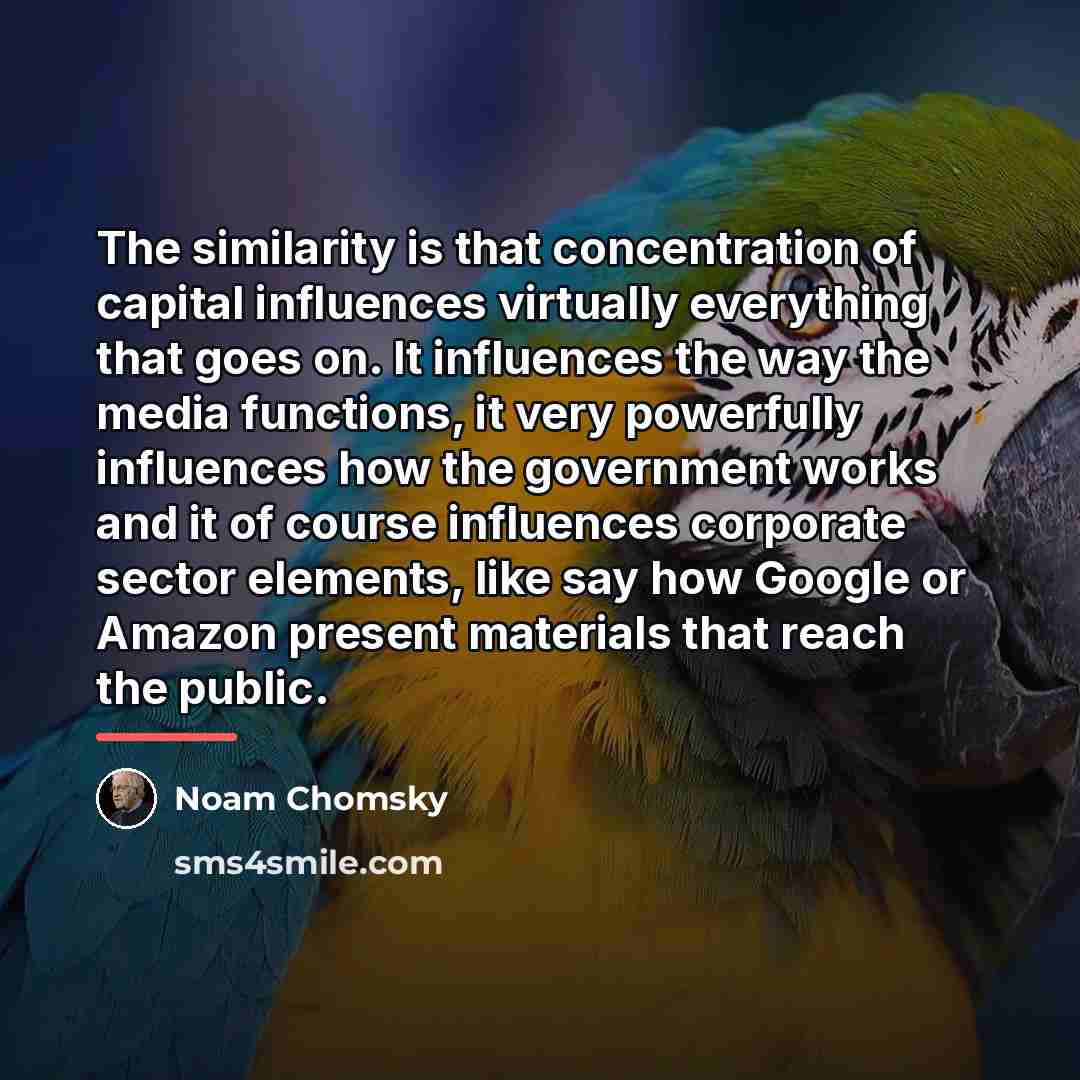 “The similarity is that concentration of capital influences virtually everything…” quote by Noam Chomsky