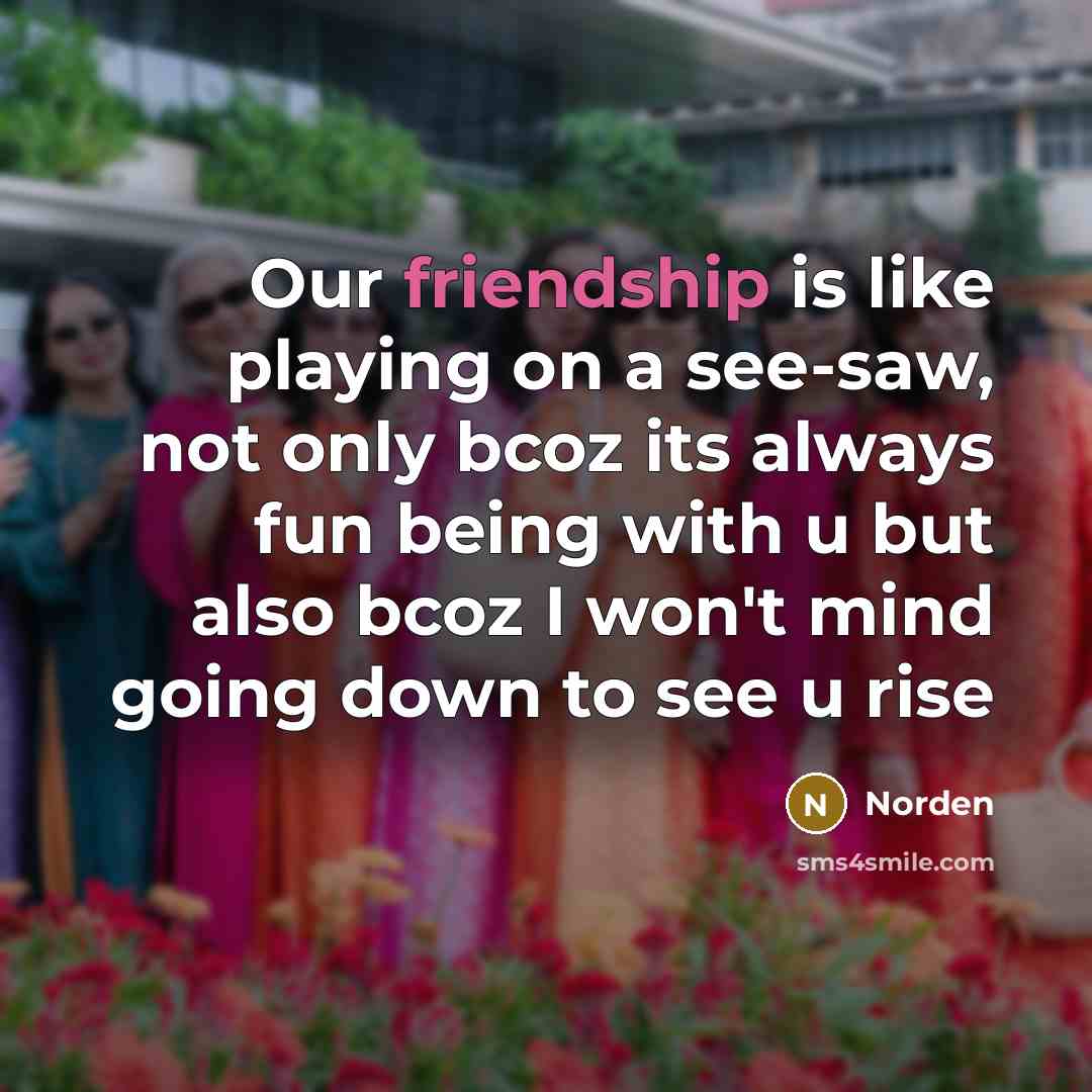 “Our friendship is like playing on a see-saw, not only…” quote by Norden