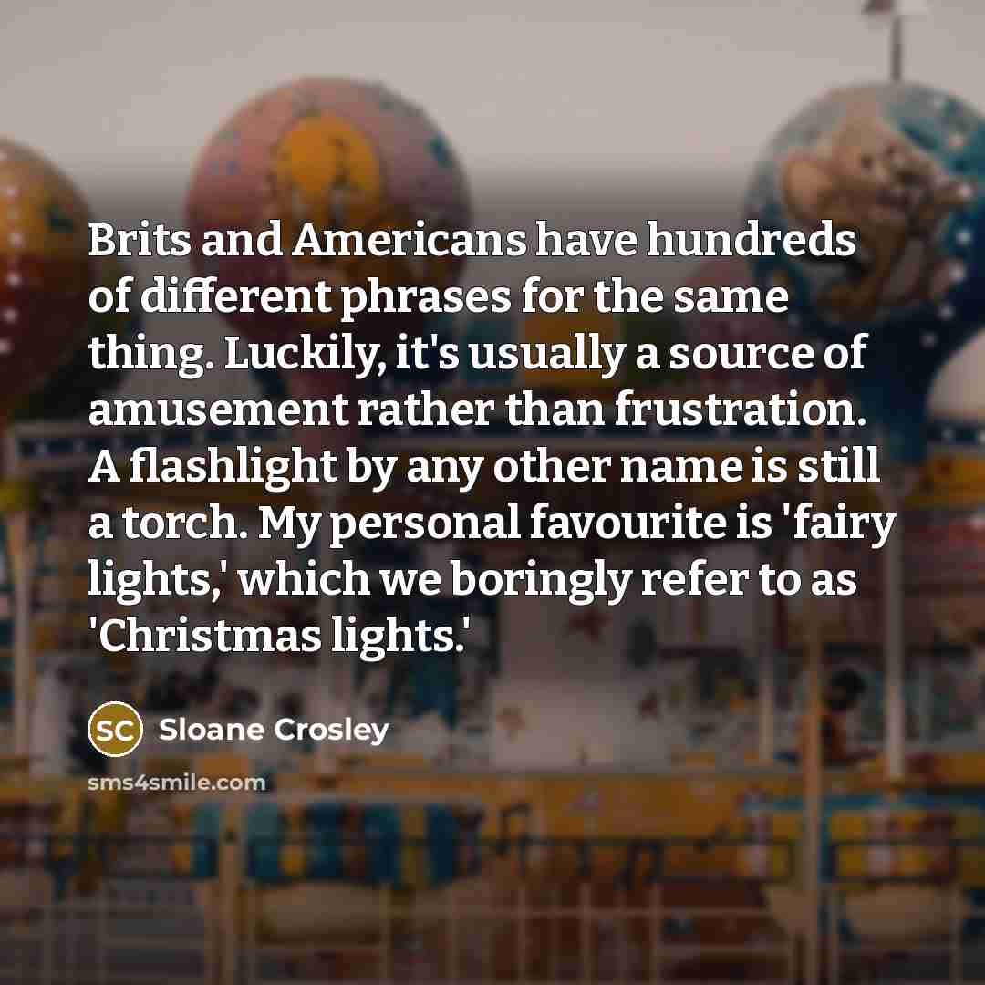 “Brits and Americans have hundreds of different phrases for the…” quote by Sloane Crosley