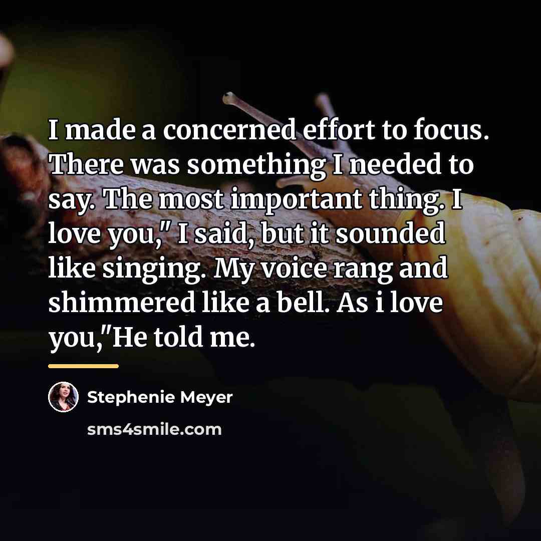 “I made a concerned effort to focus. There was something…” quote by Stephenie Meyer