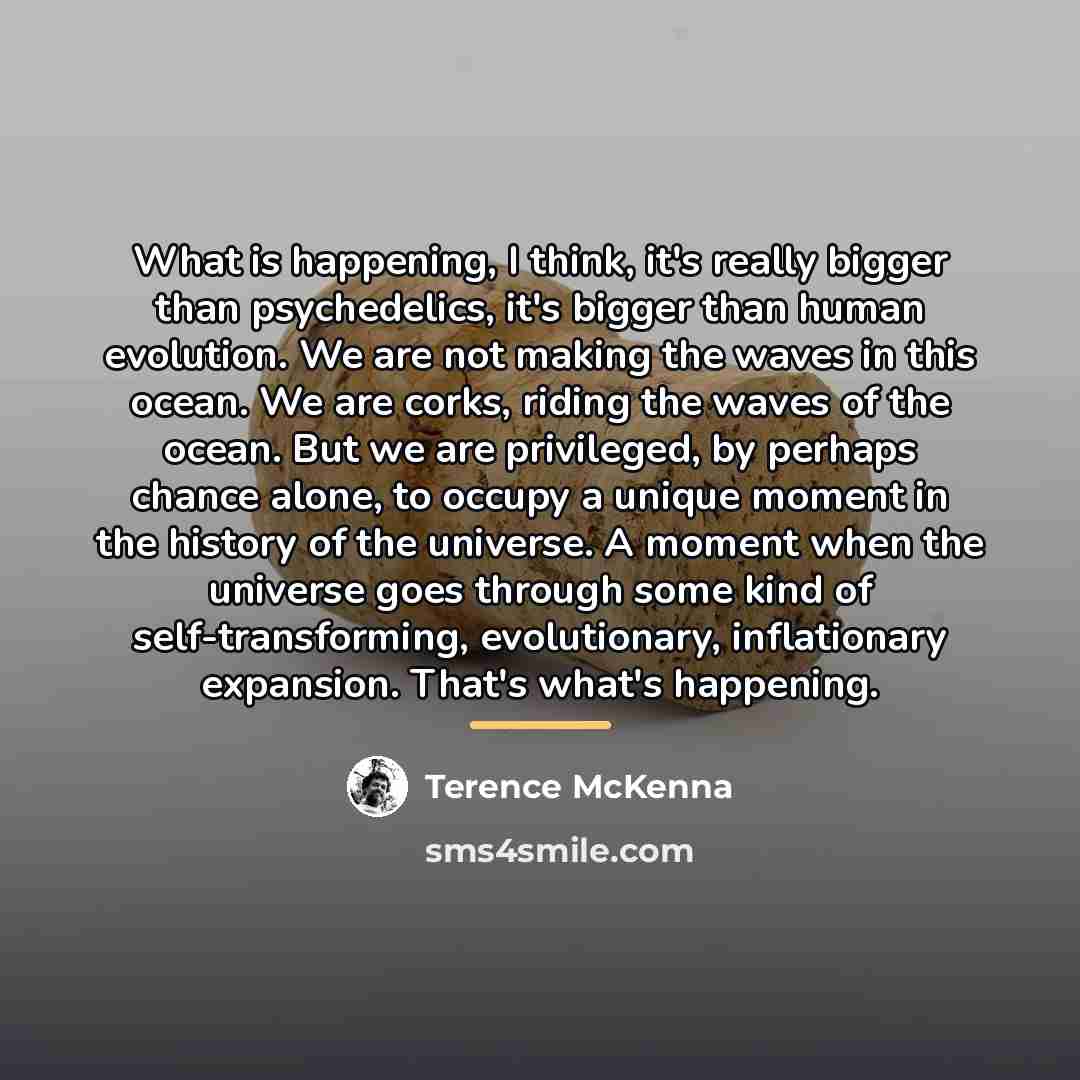 “What is happening, I think, it's really bigger than psychedelics,…” quote by Terence McKenna
