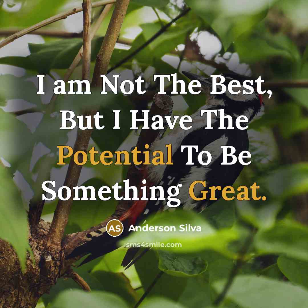 “I am Not The Best, But I Have The Potential To Be Something Great.” quote by Anderson Silva