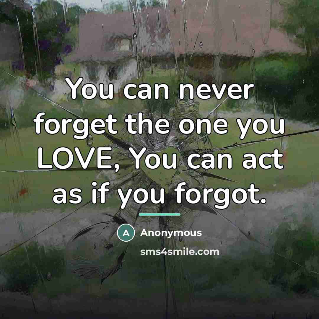 “You can never forget the one you LOVE, You can…” quote by Anonymous