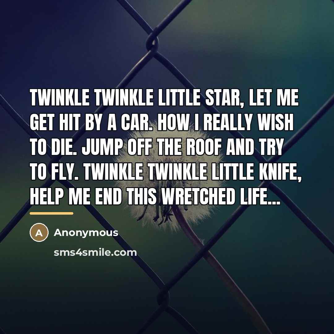 “Twinkle twinkle little star, let me get hit by a…” quote by Anonymous