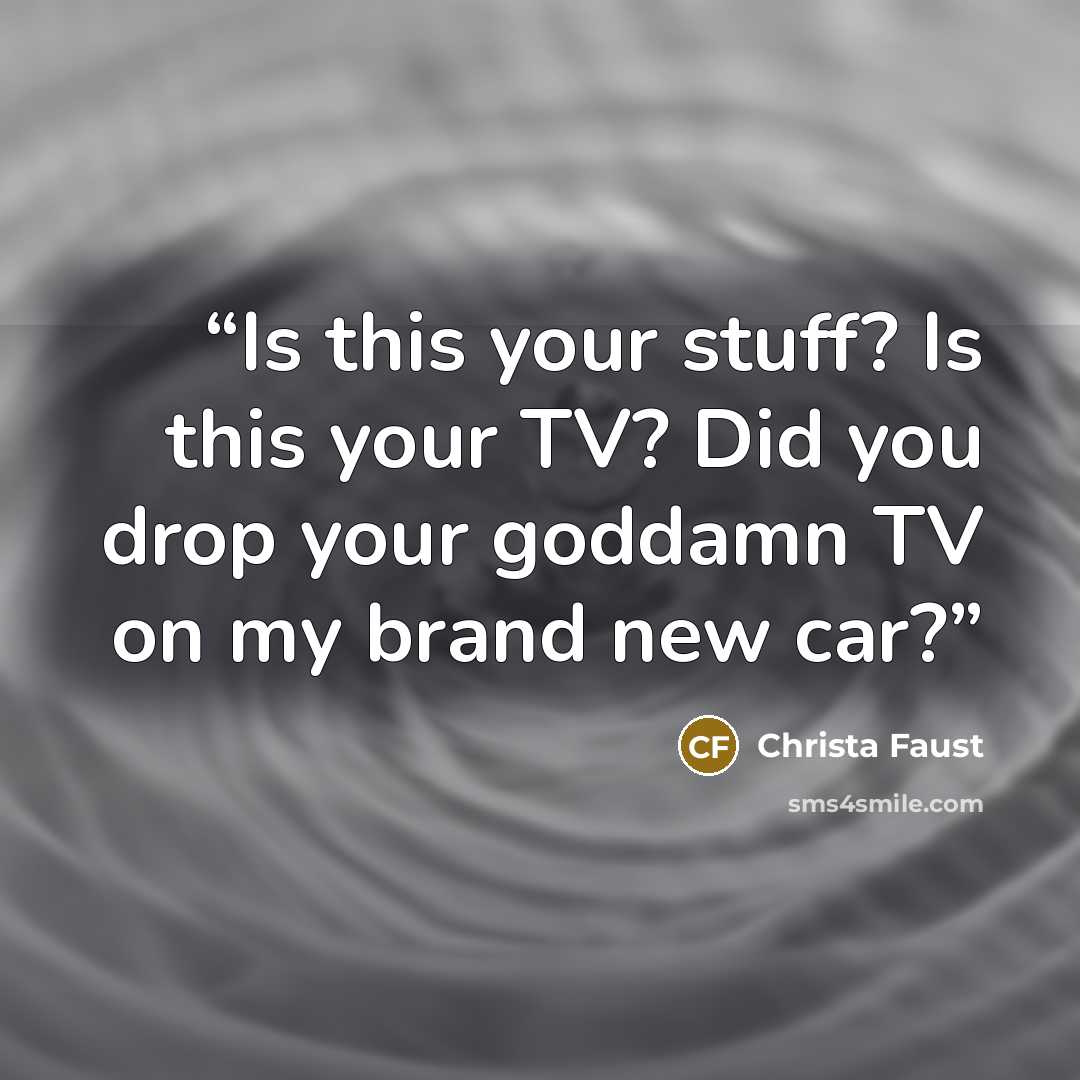 “Is this your stuff? Is this your TV? Did you drop your goddamn TV on my brand new car?” quote by Christa Faust