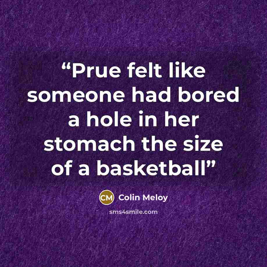 “Prue felt like someone had bored a hole in her stomach the size of a basketball” quote by Colin Meloy