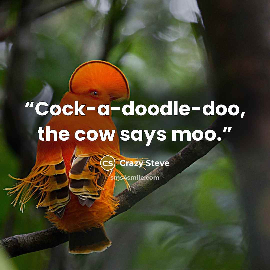 “Cock-a-doodle-doo, the cow says moo.” quote by Crazy Steve