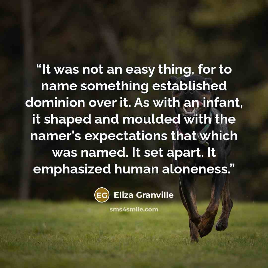 “It was not an easy thing, for to name something established dominion over it. As with an infant, it shaped and moulded with the namer's expectations that which was named. It set apart. It emphasized human aloneness.” quote by Eliza Granville