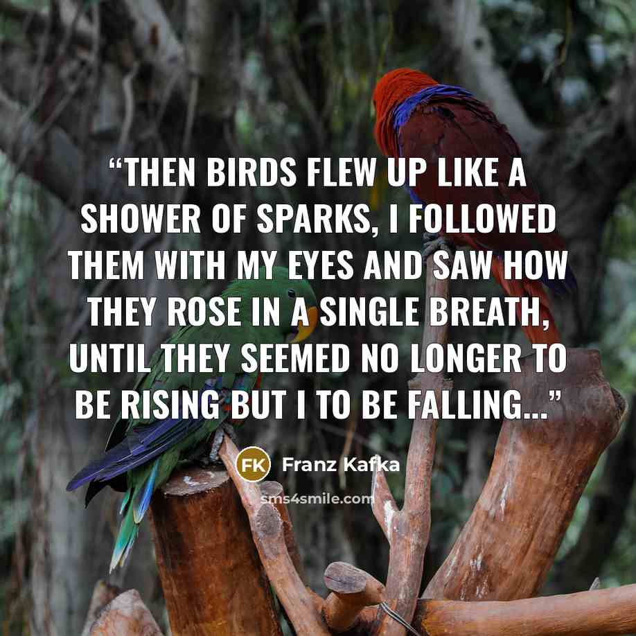 “Then birds flew up like a shower of sparks, I followed them with my eyes and saw how they rose in a single breath, until they seemed no longer to be rising but I to be falling...” quote by Franz Kafka