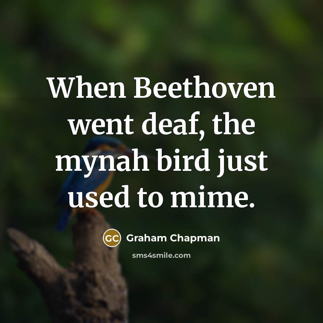 “When Beethoven went deaf, the mynah bird just used to…” quote by Graham Chapman