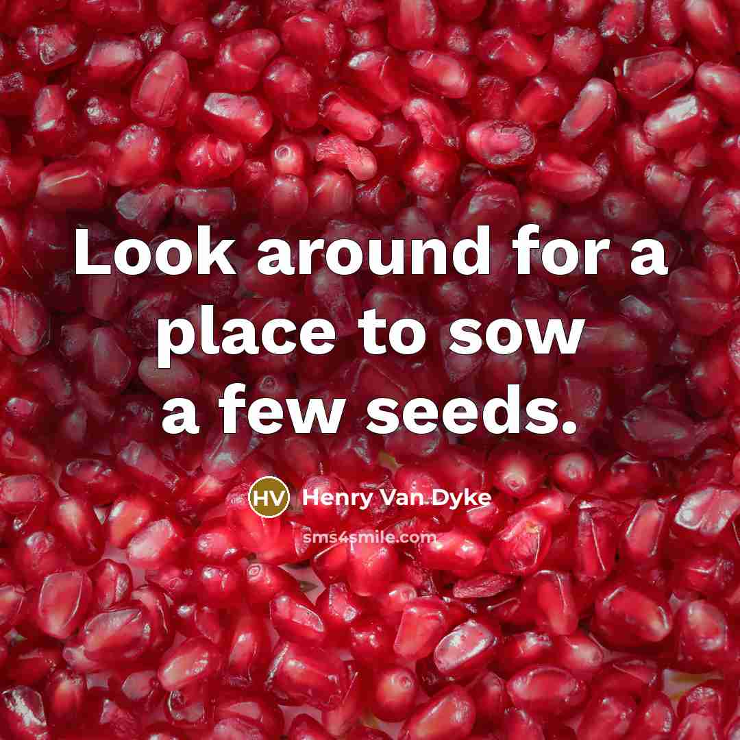 “Look around for a place to sow a few seeds.” quote by Henry Van Dyke