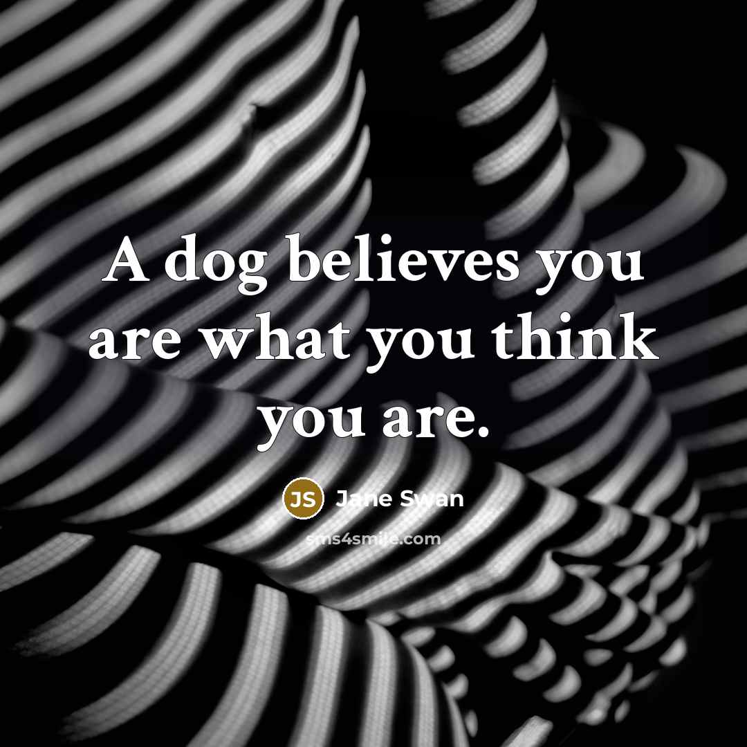 “A dog believes you are what you think you are.…” quote by Jane Swan