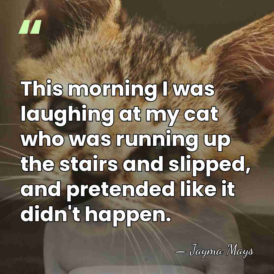 This morning I was laughing at my cat who was running up&hellip; - Jayma Mays