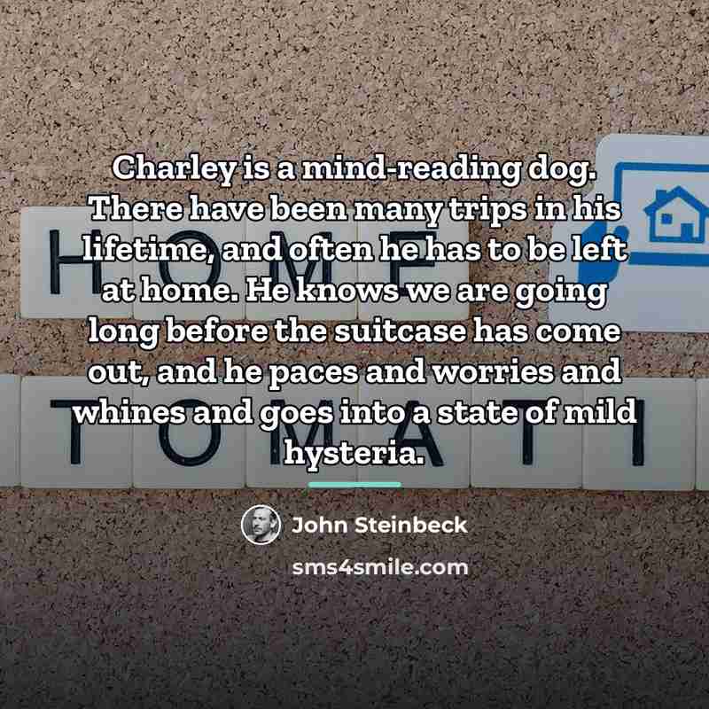 “Charley is a mind-reading dog. There have been many trips…” quote by John Steinbeck