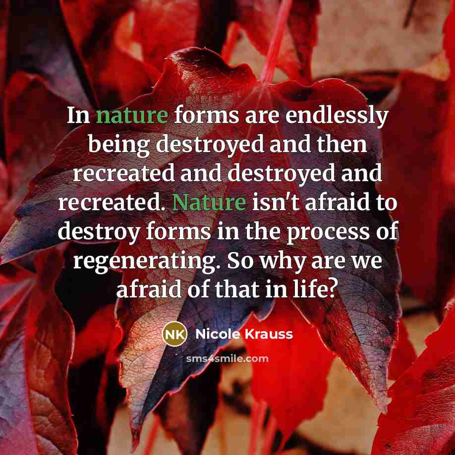 “In nature forms are endlessly being destroyed and then recreated…” quote by Nicole Krauss