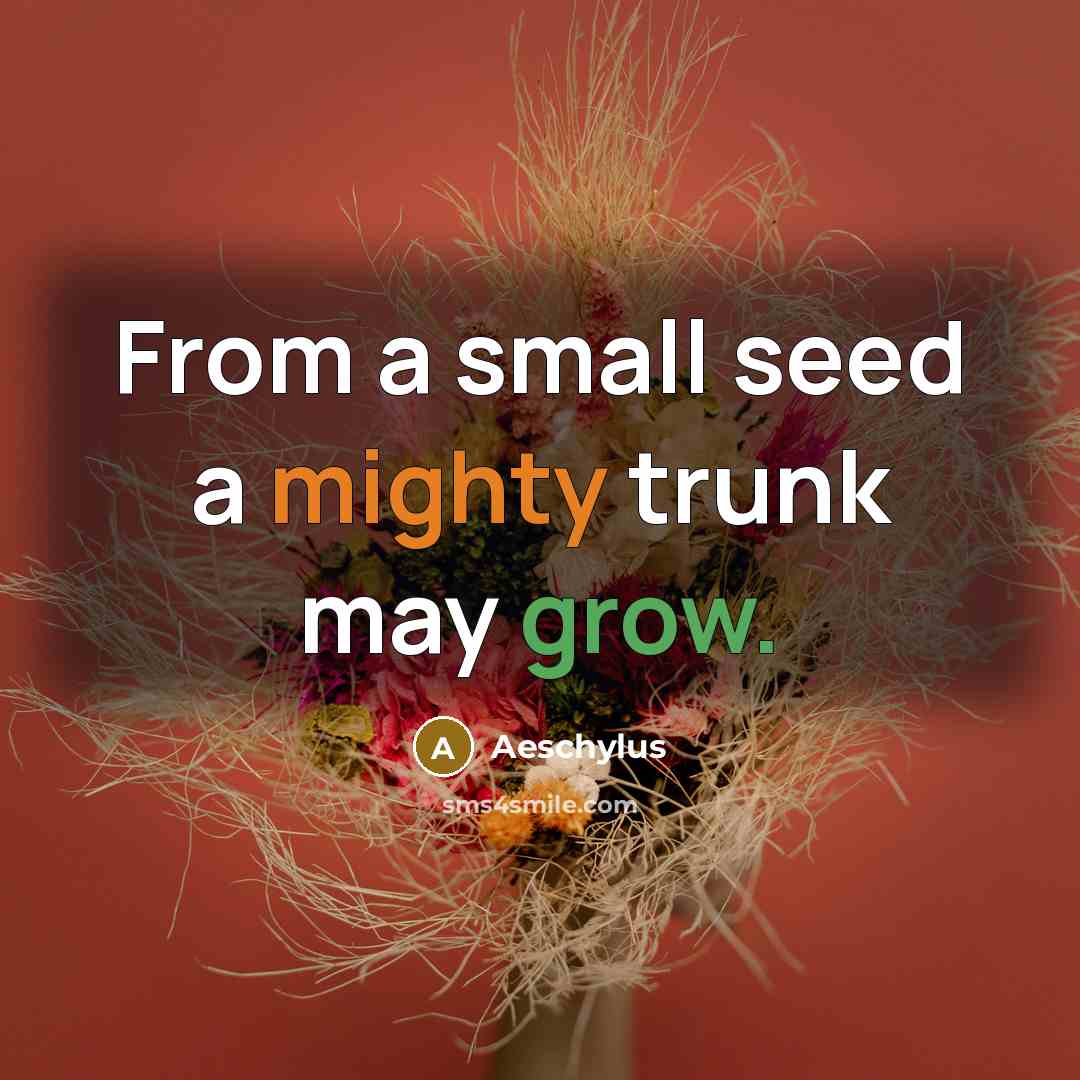 “From a small seed a mighty trunk may grow.” quote by Aeschylus