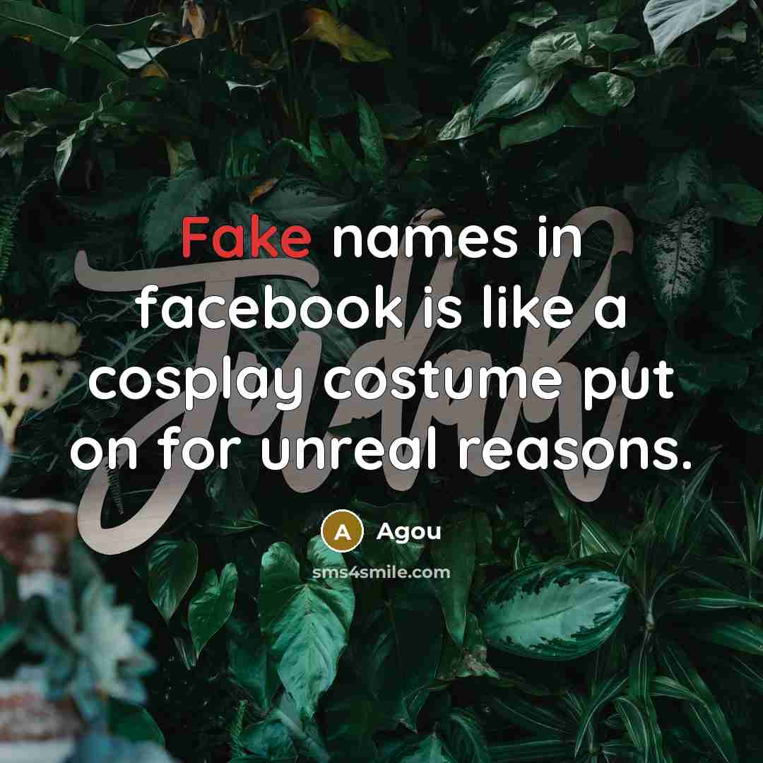 “Fake names in facebook is like a cosplay costume put on for unreal reasons.” quote by Agou