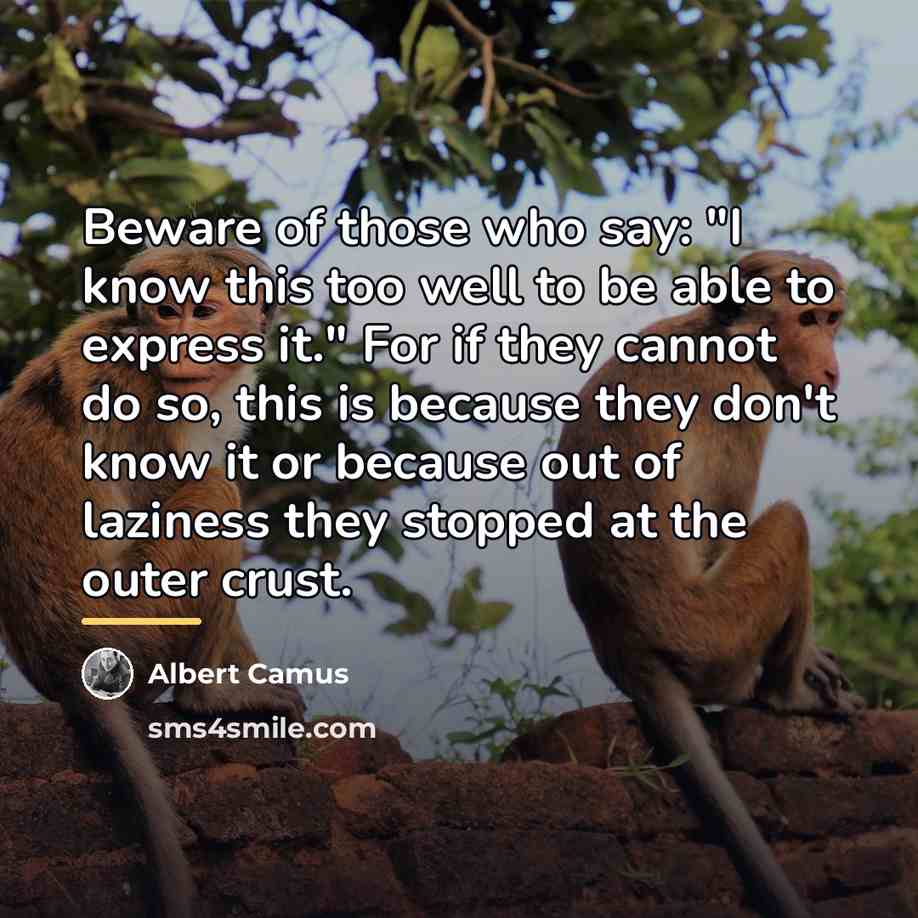 “Beware of those who say: "I know this too well…” quote by Albert Camus