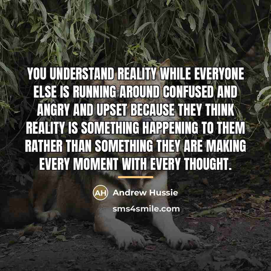 “You understand reality while everyone else is running around confused…” quote by Andrew Hussie