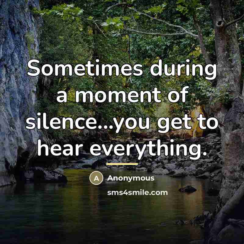 “Sometimes during a moment of silence...you get to hear everything.…” quote by Anonymous