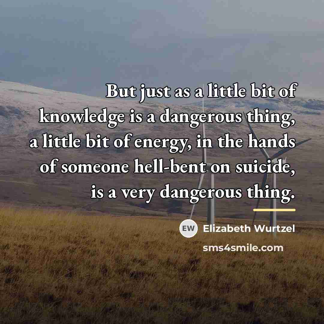 “But just as a little bit of knowledge is a…” quote by Elizabeth Wurtzel